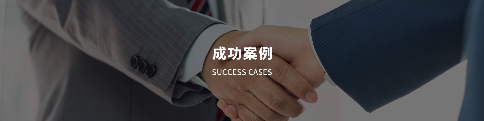成功案例